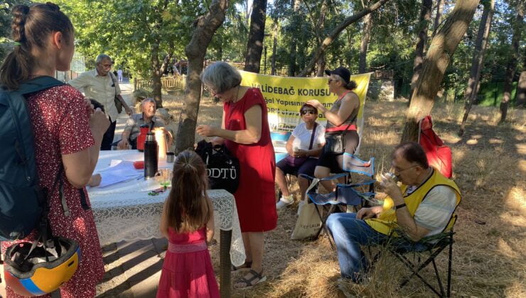 Validebağ Korusu’na Müdahalelere Halktan Büyük Tepki: 3 Saatte 200 İmza Toplandı