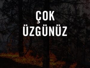 Türkiye’de Orman Yangınları: Doğal Zenginliklerimiz Tehdit Altında