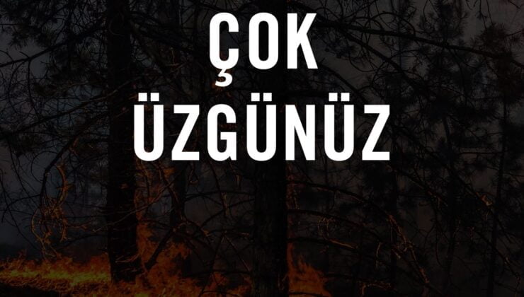 Türkiye’de Orman Yangınları: Doğal Zenginliklerimiz Tehdit Altında