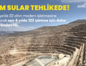 Türkiye’de Altın Madenleri ve Çevresel Yıkım