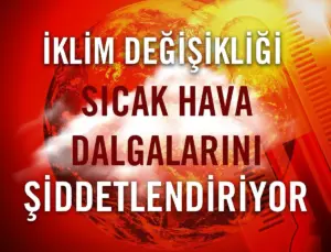 Tema Vakfı: Doğu Akdeniz ve İstanbul’da Sıcaklık Artışı Alarm Veriyor