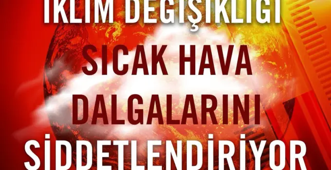 Tema Vakfı: Doğu Akdeniz ve İstanbul’da Sıcaklık Artışı Alarm Veriyor