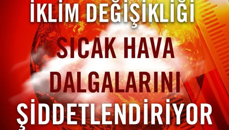 Tema Vakfı: Doğu Akdeniz ve İstanbul’da Sıcaklık Artışı Alarm Veriyor