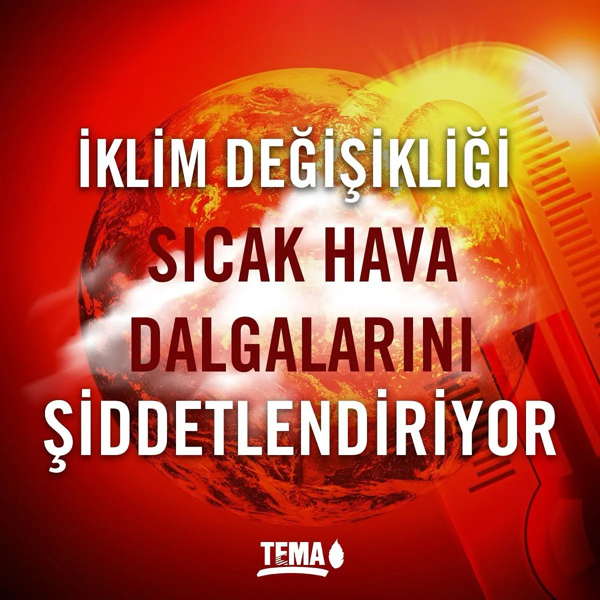 Tema Vakfı: Doğu Akdeniz ve İstanbul’da Sıcaklık Artışı Alarm Veriyor