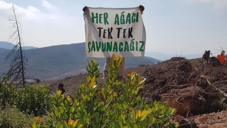 Yeni Bir Orman Kanunu Talebi
