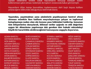 Barolar Birliği: Hayvan Hakları İçin Ortak Mücadele