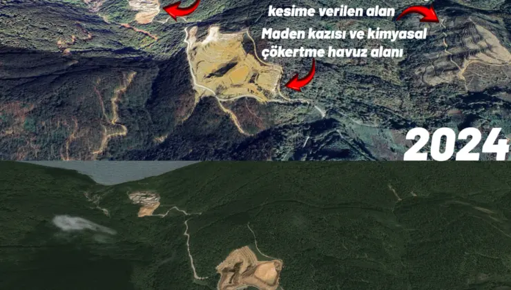Zonguldak’ta Hem Doğanın Hem İnsanın Canına Okunuyor