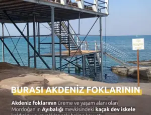 Doğa Kazandı