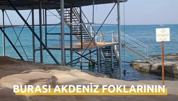Doğa Kazandı