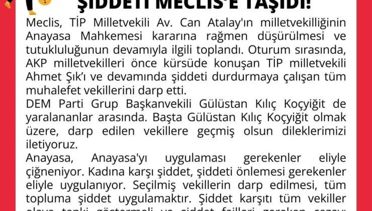 Meclisteki Erkek Şiddeti Tüm Topluma Yöneliktir