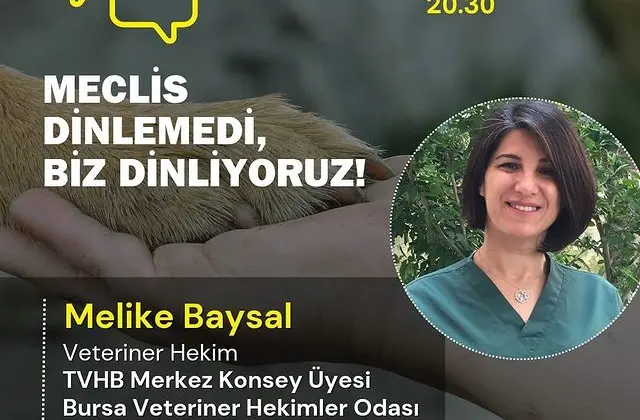 Meclis Dinlemedi Biz Dinliyoruz: İlk Canlı Yayın Başlıyor!”