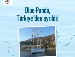 Blue Panda, Akdeniz’in Hazinelerini Korumak İçin Türkiye’deydi!