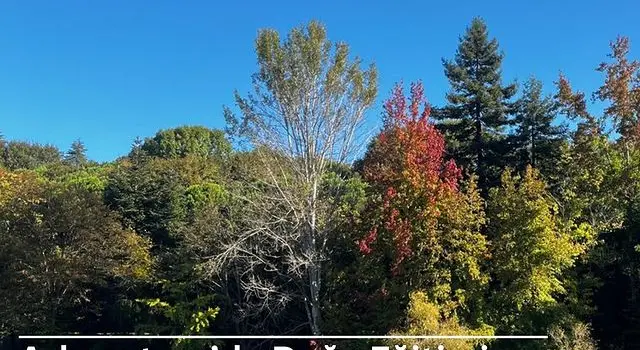 İstanbul Atatürk Arboretumu’nda Doğa Eğitimi Fırsatı!