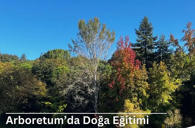 İstanbul Atatürk Arboretumu’nda Doğa Eğitimi Fırsatı!