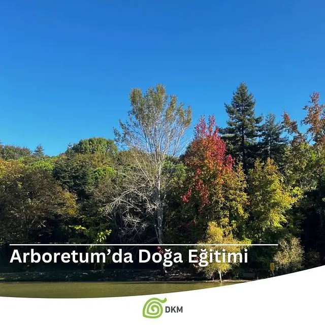 İstanbul Atatürk Arboretumu’nda Doğa Eğitimi Fırsatı!