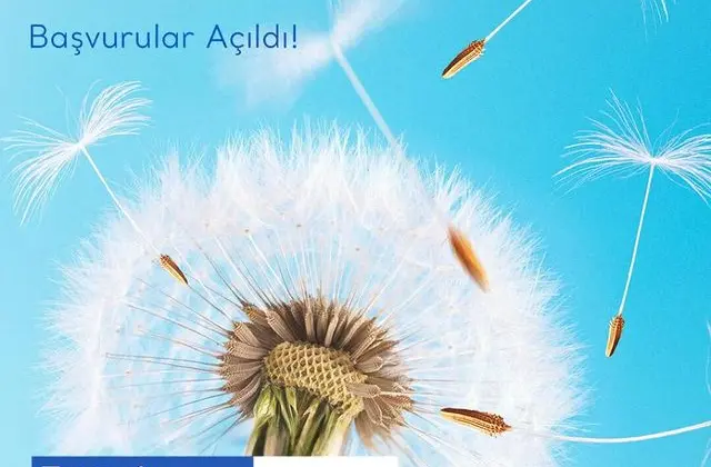 Turquoise Coast Environment Fund-Turkey Hibe Programı: Beşinci Dönem Başvuruları Açıldı