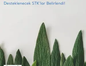 Çocuk Fonu’ndan 3 STK’ya 2.1 Milyon TL Destek