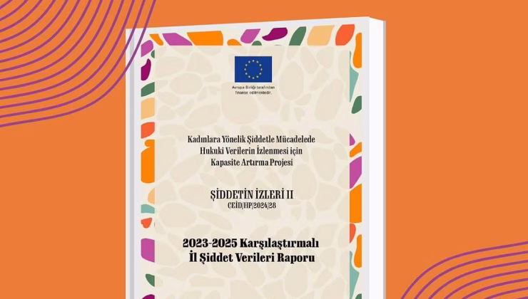 Kadına Yönelik Şiddetin Haritası: 2023–2025 Verileriyle Alarm Veren Gerçekler