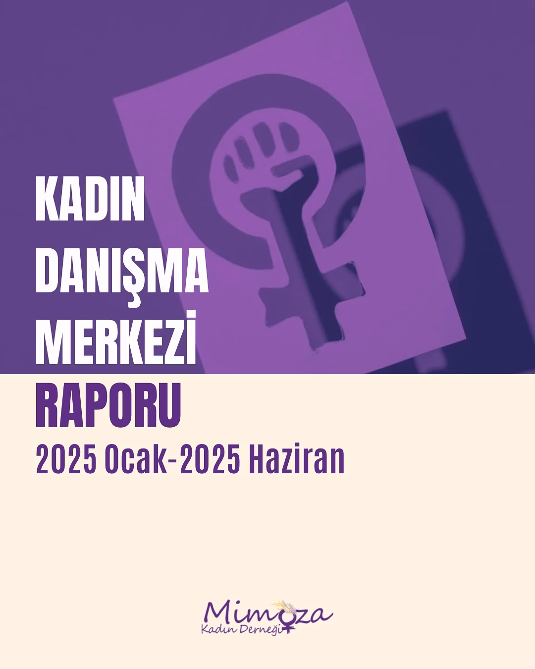 Mimoza Kadın Derneği’nden 6 Ayda 106 Başvuruya Destek
