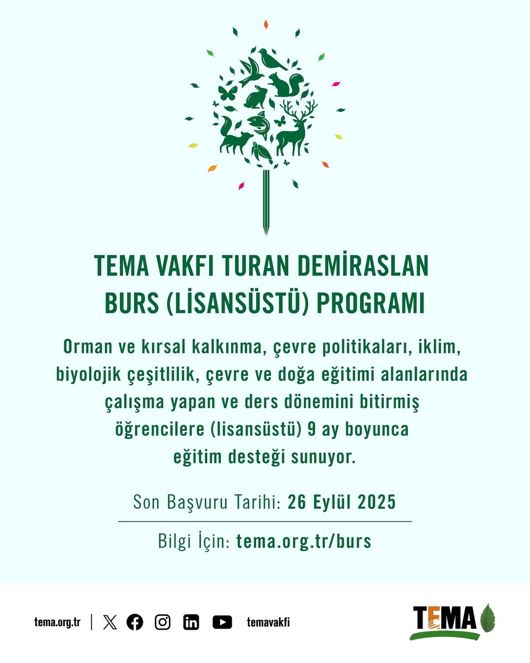 TEMA Vakfı Turan Demiraslan Lisansüstü Burs Programı 2025 Başvuruları Başladı