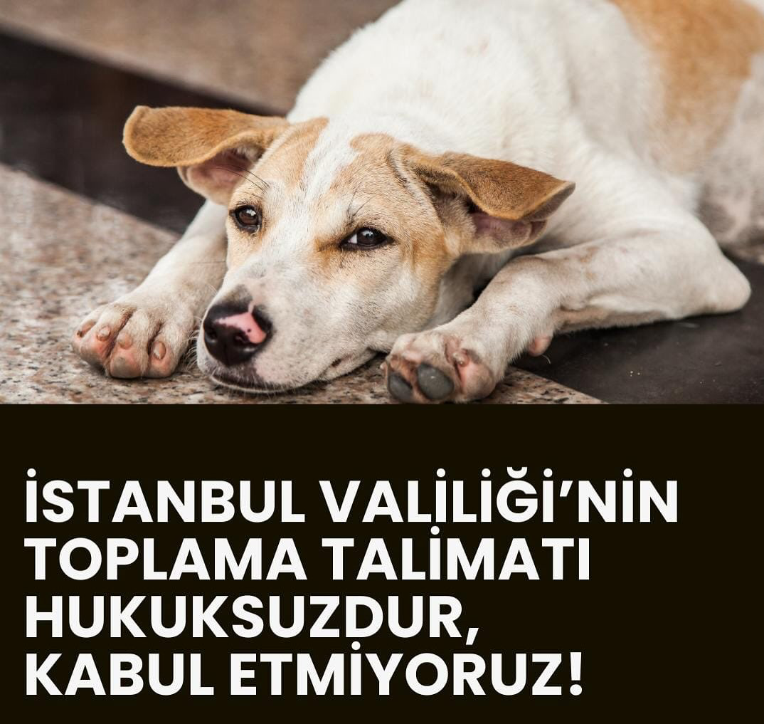 Yaşatacağız Platformu: İstanbul Valiliği’nin Toplama Talimatı Hukuksuzdur, Yaşamı Savunuyoruz