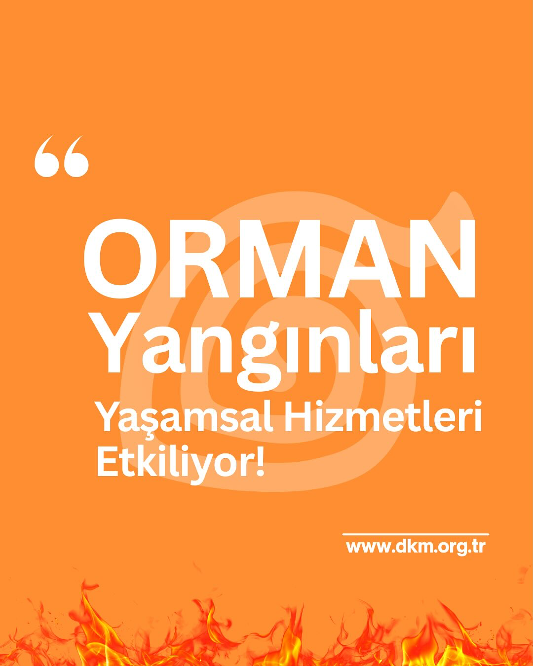 Doğa Koruma Merkezi: Orman Yangınları Yaşamsal Ekosistem Hizmetlerini Tehdit Ediyor