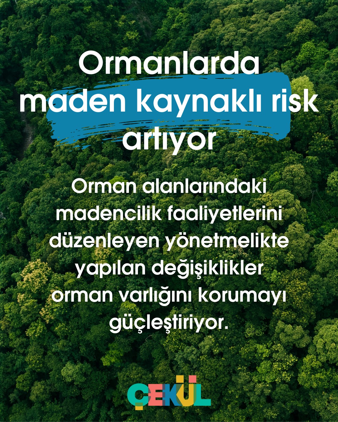 Ormanlarda Madencilik Tehlikesi Artıyor: Yeni Yönetmelik Ekosistemleri Tehdit Ediyor