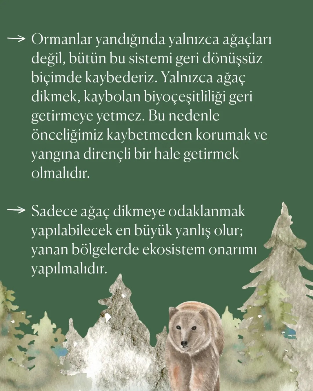 goruntu 11 1