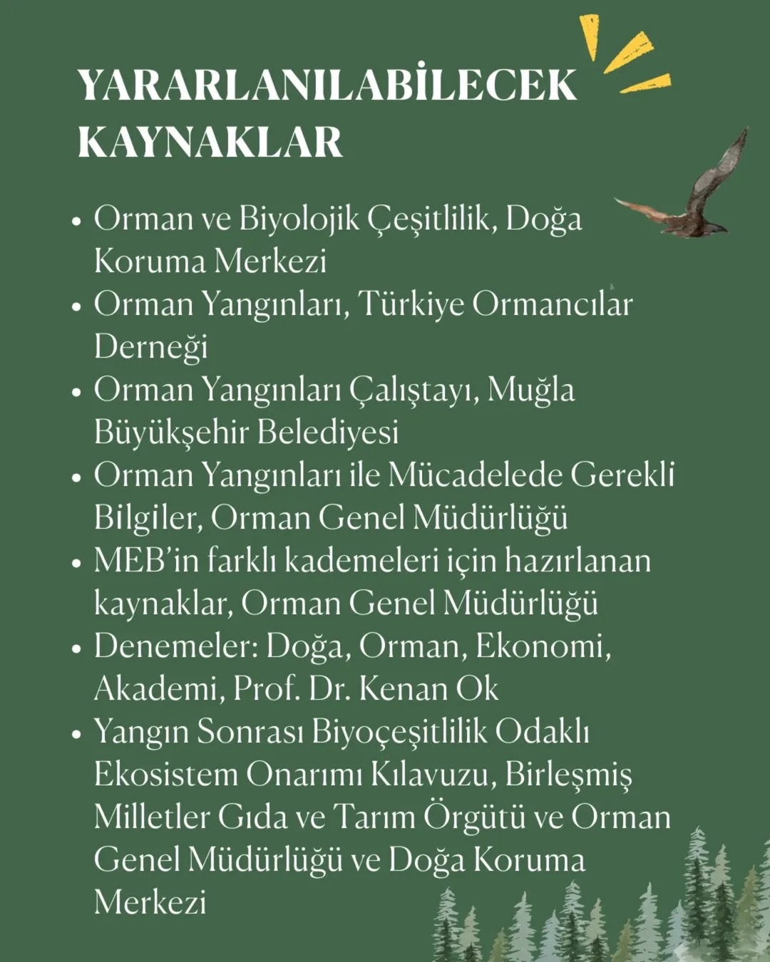 goruntu 13 1