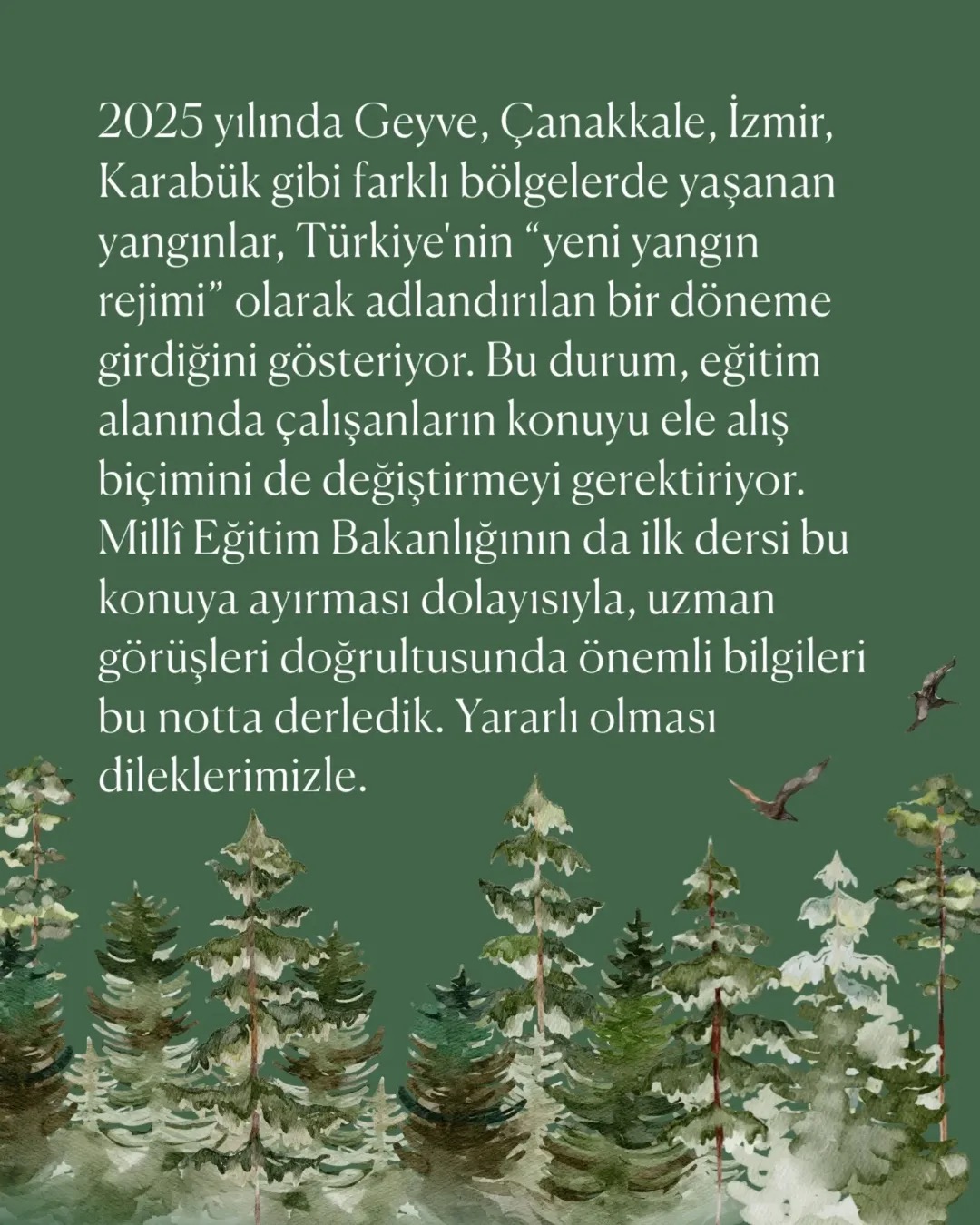 goruntu 2 5