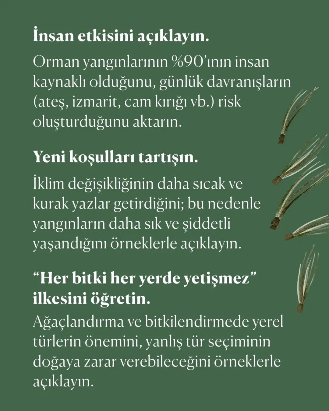 goruntu 6 2