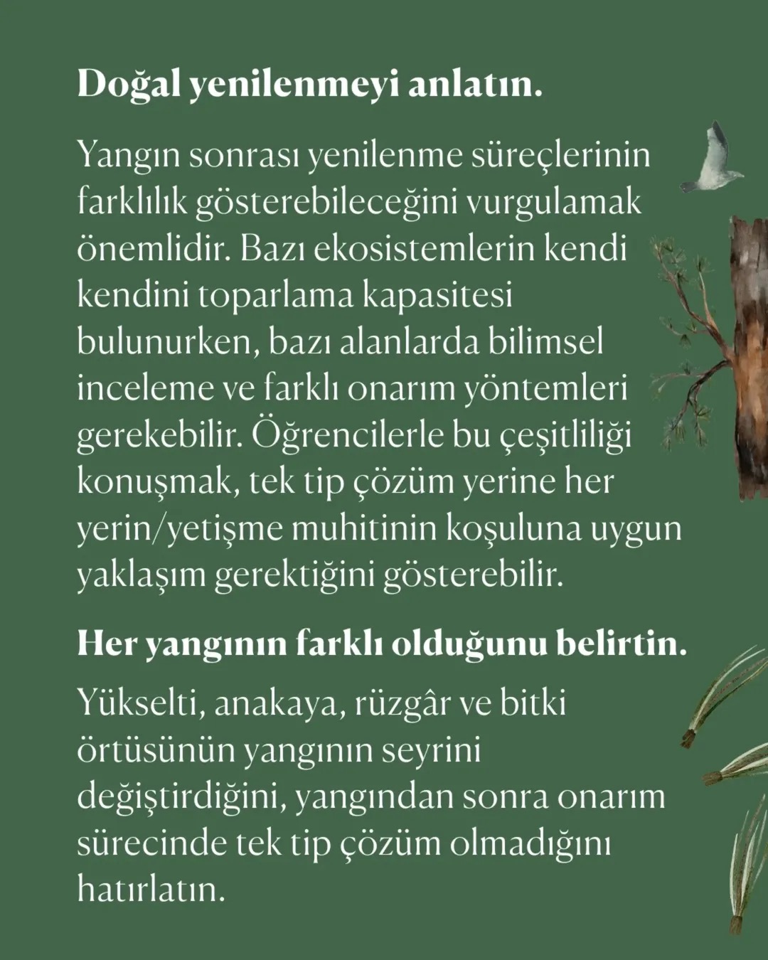 goruntu 7 2