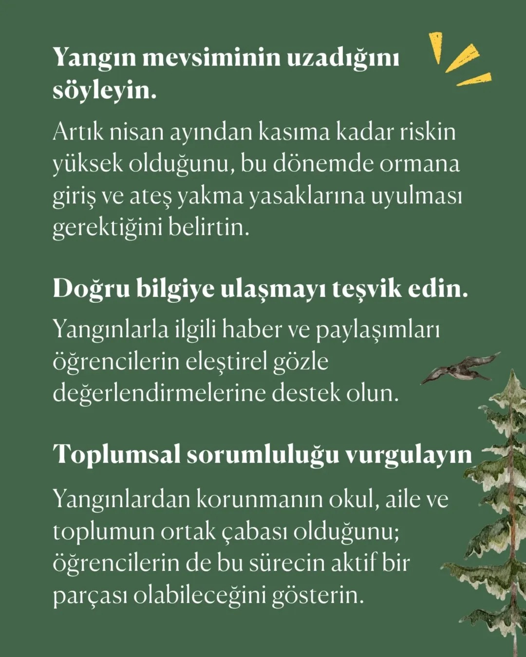 goruntu 8 1
