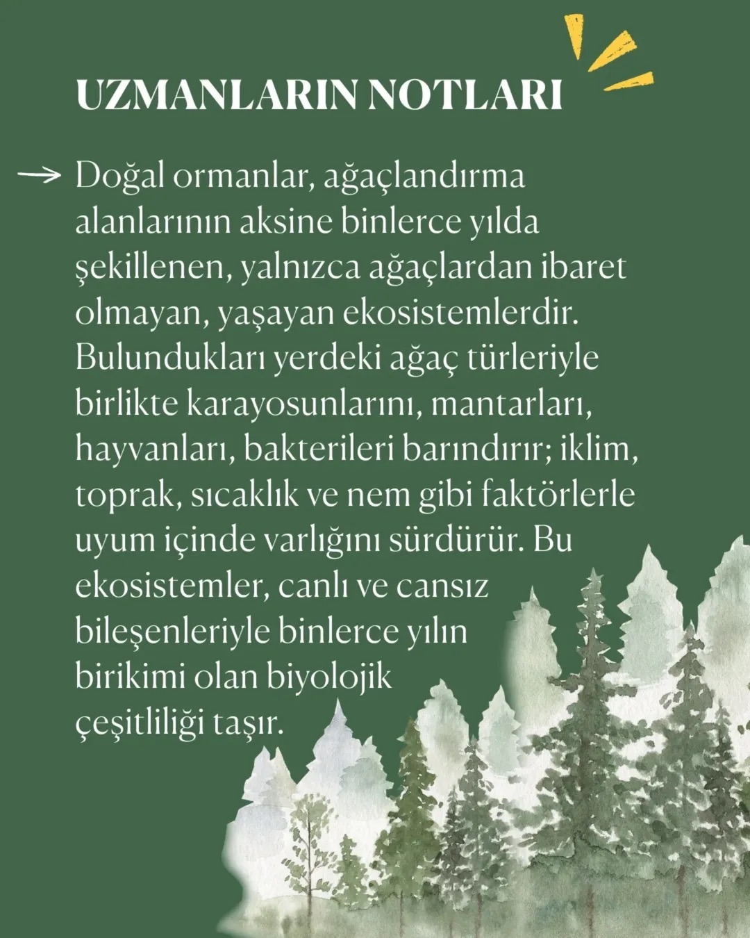 goruntu 9 1