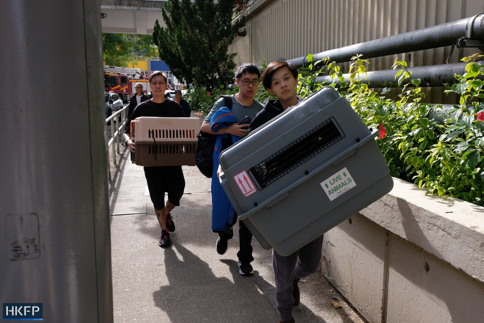 Hong Kong’da Çıkan Yangında 340’a Yakın Evcil Hayvan Etkilendi: En Az 45’i Öldü