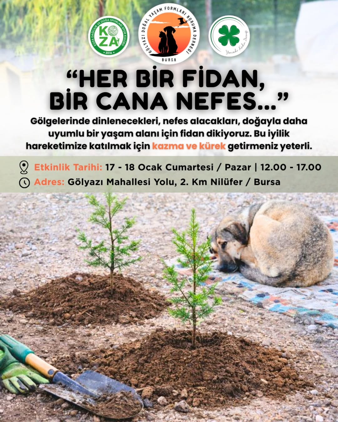 Patili Dostlar İçin Fidan Dikiyoruz