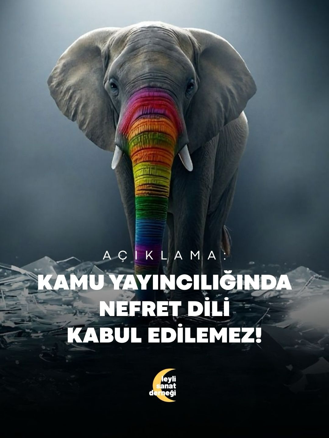 Leyli Sanat Derneği’nden TRT’ye Tepki: Kamu Yayıncılığında Nefret Dili Kabul Edilemez